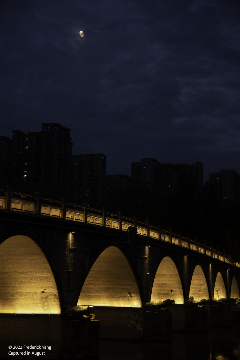 Night in Chengdu-7535